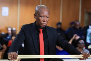 South African opposition politician Malema expected to be sentenced in firearm case, in KuGompo City